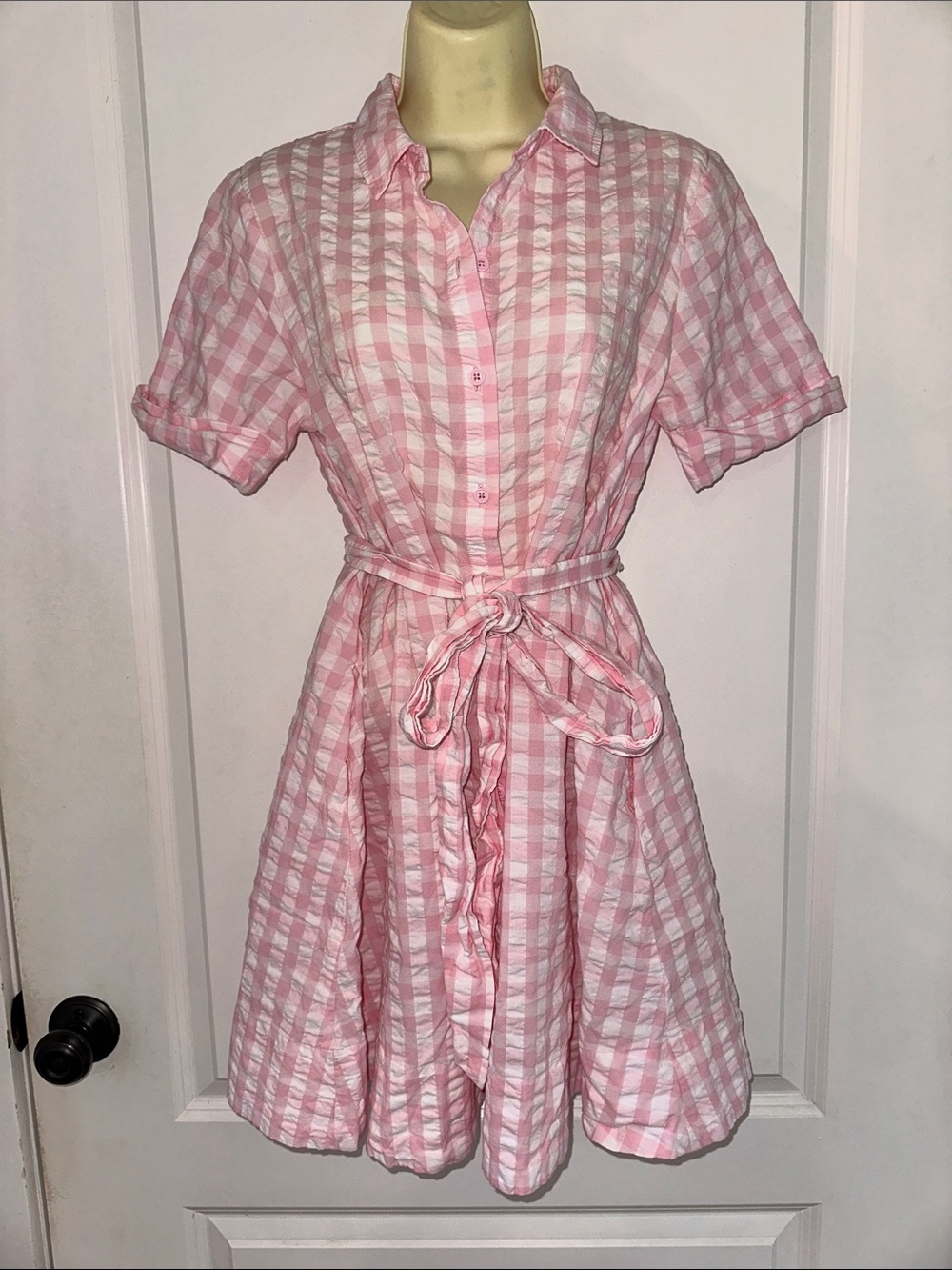 Lisa Marie Fernandez for Target Pink Gingham Tie-Waist Short Sleeve Shirt Dress